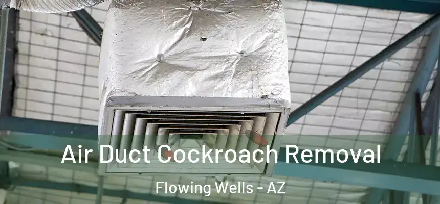  Air Duct Cockroach Removal Flowing Wells - AZ