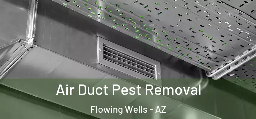  Air Duct Pest Removal Flowing Wells - AZ