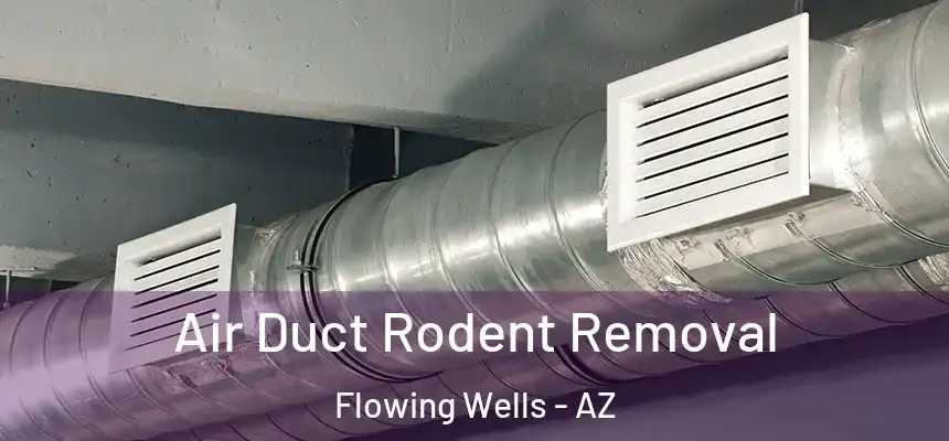  Air Duct Rodent Removal Flowing Wells - AZ