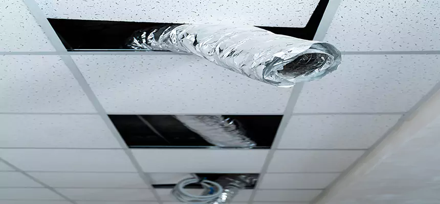 Affordable HVAC Sanitizing After Pest Removal in Flowing Wells