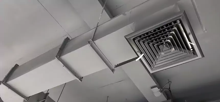 Our Pest Removal From Ducts Services in Flowing Wells, AZ