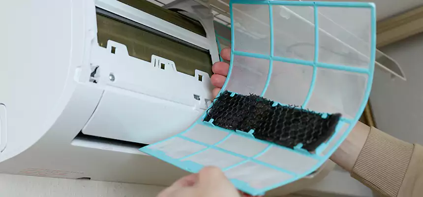 Gentle Ductwork Odor-Control Pet Dander Duct Cleaning in Flowing Wells, AZ