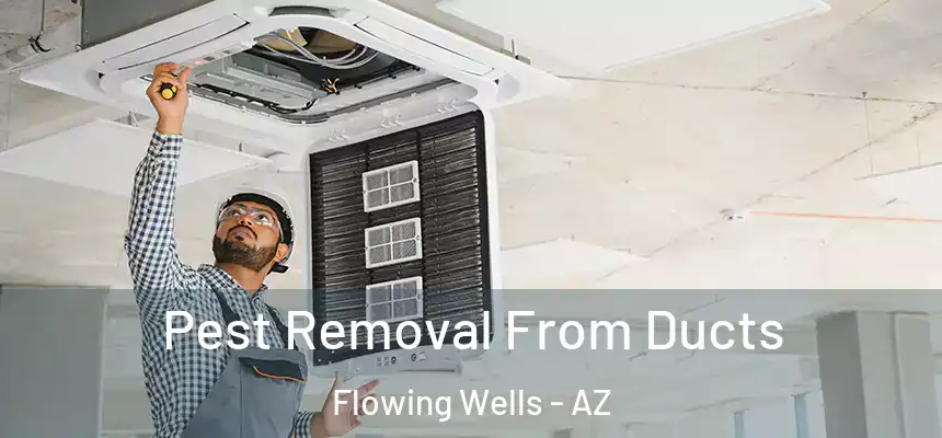  Pest Removal From Ducts Flowing Wells - AZ