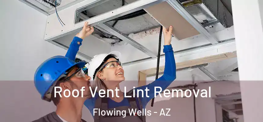  Roof Vent Lint Removal Flowing Wells - AZ