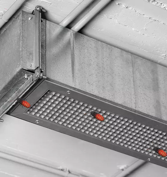 Affordable Insect Removal from Air Ducts in Flowing Wells, AZ