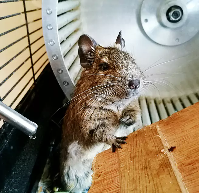 Why Homeowners & Businesses Trust Us Flowing Wells, AZ