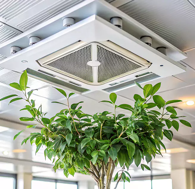 Why Homeowners & Businesses Trust Us in Flowing Wells, AZ